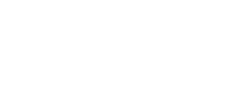 Logo Sinfiammano le stelle